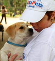 Know more about The Lost Pets Foundation